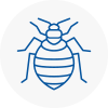 Bed Bug Extermination In North Lambeth