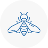 Bee Nest Removal North Lambeth