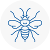 North Lambeth Hornet Nest Removals