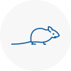 Mice Exterminators In North Lambeth