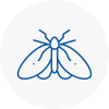 Moth Control Specialists In North Lambeth