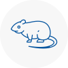 Rat Control North Lambeth