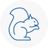 North Lambeth Rodent Removals